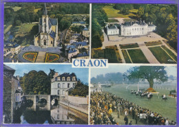 Carte Postale 53. Craon Le Château  Le Champ De Courses  Vue Aérienne   Très Beau Plan - Craon