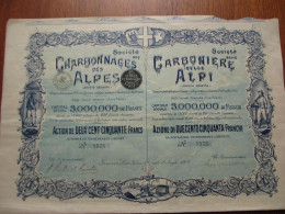 SUISSE - GENEVE : LES EAUX VIVES 1902 - CHARBONNAGES DES ALPES - ACTION DE 250 FRS - DECO - Otros & Sin Clasificación