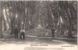 FR66 PERPIGNAN - Bousquet - Les Platanes - Animée - Belle - Perpignan