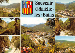 66-AMELIE LES BAINS-N°T2711-B/0105 - Other & Unclassified