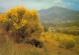 84-LE MONT VENTOUX-N°T2711-C/0385 - Andere & Zonder Classificatie