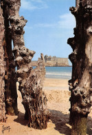 35-SAINT MALO-N°T2713-A/0377 - Saint Malo