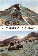 15-PUY MARY-N°T2713-A/0291 - Andere & Zonder Classificatie