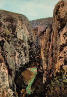 83-GORGES DU VERDON-N°T2713-C/0351 - Sonstige & Ohne Zuordnung