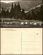 Ansichtskarte Warmensteinach Panorama-Ansicht 1940 - Other & Unclassified