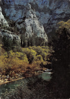 84-FONTAINE DE VAUCLUSE-N°T2714-C/0013 - Sonstige & Ohne Zuordnung