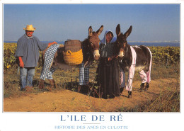 17-ILE DE RE FOLKLORE-N°T2715-C/0329 - Ile De Ré