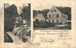 Gruss Aus Muggendorf - Carl Hönigsbergers Gasthaus - Forchheim