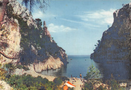 13-CASSIS-N°T2716-C/0343 - Cassis