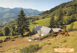 63-MONTS D AUVERGNE-N°T2716-C/0335 - Autres & Non Classés