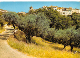 83-RAMATUELLE-N°T2717-B/0253 - Ramatuelle