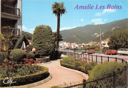 66-AMELIE LES BAINS-N°T2717-A/0071 - Other & Unclassified