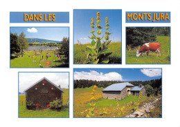 39-MONTS JURA-N°T2716-D/0129 - Autres & Non Classés