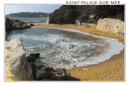 17-SAINT PALAIS SUR MER-N°T2718-A/0049 - Saint-Palais-sur-Mer