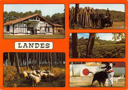 40-LES LANDES-N°T2717-D/0149 - Sonstige & Ohne Zuordnung