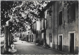 CASCATEL DES CORBIERES   AVENUE DE VILLENEUVE - Otros & Sin Clasificación