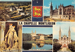 61-LA CHAPELLE MONTLIGEON-N°T2718-C/0123 - Autres & Non Classés