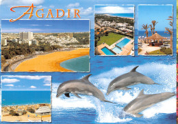 ET-MAROC AGADIR-N°T2718-C/0051 - Agadir