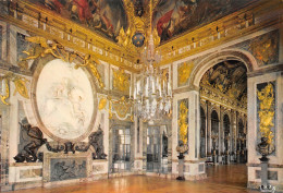 78-VERSAILLES LE PALAIS-N°T2718-C/0023 - Versailles (Château)