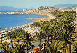 06-CANNES-N°T2719-A/0279 - Cannes