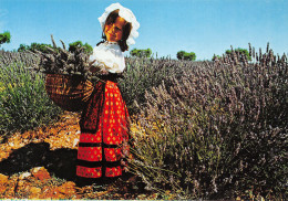 13-PROVENCE FOLKLORE-N°T2719-A/0221 - Other & Unclassified