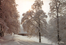 74-PAYSAGE D HIVER-N°T2718-D/0395 - Autres & Non Classés