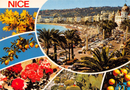 06-NICE-N°T2719-D/0359 - Autres & Non Classés