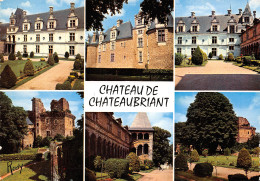 44-CHATEAUBRIANT-N°T2719-D/0157 - Châteaubriant