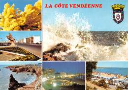 85-COTE VENDEENNE-N°T2719-D/0083 - Other & Unclassified