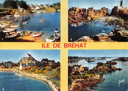 22-ILE DE BREHAT-N°T2720-C/0245 - Ile De Bréhat