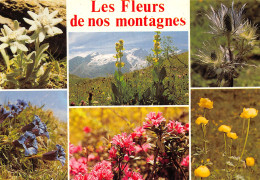 05-FLEURS DE NOS MONTAGNES-N°T2720-B/0177 - Autres & Non Classés