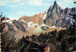74-CHAMONIX MONT BLANC-N°T2720-B/0167 - Chamonix-Mont-Blanc