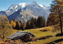 74-MASSIF DU MONT BLANC-N°T2720-B/0085 - Autres & Non Classés