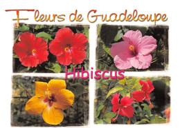 971-GUADELOUPE-N°T2721-B/0061 - Andere & Zonder Classificatie