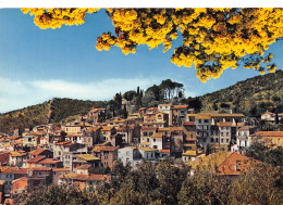 83-BORMES LES MIMOSAS-N°T2721-A/0127 - Bormes-les-Mimosas