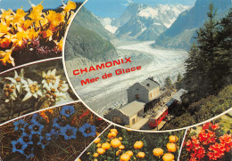 74-CHAMONIX MONT BLANC-N°T2721-D/0215 - Chamonix-Mont-Blanc