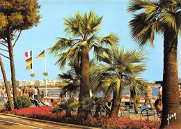 06-CANNES-N°T2721-C/0191 - Cannes