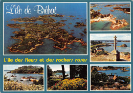 22-ILE DE BREHAT-N°T2721-C/0087 - Ile De Bréhat