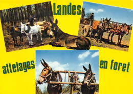 40-PAYS LANDAIS-N°T2722-C/0045 - Andere & Zonder Classificatie