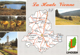 87-HAUTE VIENNE-N°T2722-C/0019 - Other & Unclassified