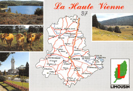 87-HAUTE VIENNE-N°T2722-C/0017 - Other & Unclassified