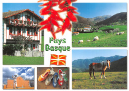 64-PAYS BASQUE-N°T2722-C/0015 - Other & Unclassified