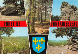 77-FONTAINEBLEAU LA FORET-N°T2722-A/0343 - Fontainebleau