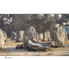 56-CARNAC-N°T2722-A/0213 - Carnac