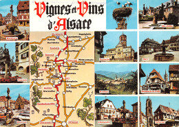 67-ALSACE ROUTE DES VINS-N°T2722-A/0195 - Sonstige & Ohne Zuordnung