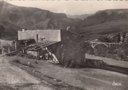 PONT DE L'ARTUBY (Alpes-de-Haute-Provence): Ferme Des Sardons - Andere & Zonder Classificatie