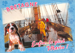 29-BRETAGNE ENFIN LE PIED MARIN-N°T2723-A/0037 - Autres & Non Classés