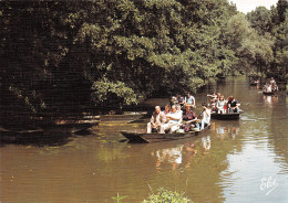 79-MARAIS POITEVIN-N°T2722-D/0193 - Sonstige & Ohne Zuordnung