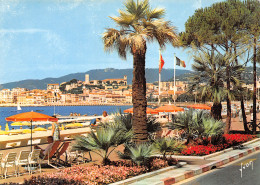 06-CANNES-N°T2724-A/0261 - Cannes