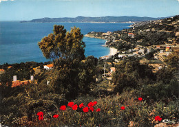 83-LE LAVANDOU-N°T2724-D/0303 - Le Lavandou